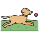 Dog Training Icon