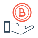 Donation Investment Bitcoin Icon