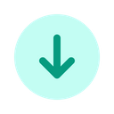 Download Round Download Upgrade Icon