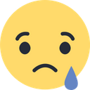 Facebook Sad Logo Icon