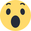 Facebook Wow Logo Icon