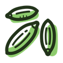 Fennel Seeds Icon