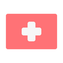 Flag Medical Health Icon