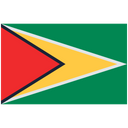 Flag Of Guyana Guyana Guyana Flag Icon