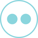 Flickr Social Logos Icon