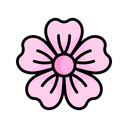 Flower Sakura Blossom Icon
