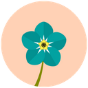 Forget Me Not Flower Forget Icon