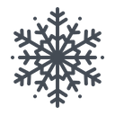 Flocon De Neige Neige Hiver Icône