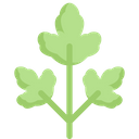 Vegetables Fiber Food Icon