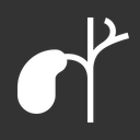 Gallbladder Icon