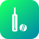 Game Sports Cricket Icon