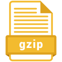 Gzip File Formats Icon