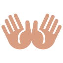 Hand Medium Skin Icon