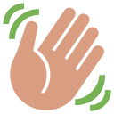 Hand Medium Skin Icon