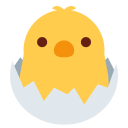 Hatching Chick Baby Icon