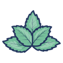 Herb Leaf Mint Icon