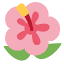 Hibiscus Plant Bloosom Icon