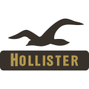 Hollister Co Company Icon