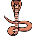 Indian Cobra Icon