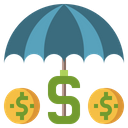 Insurance Money Protection Risk Icon