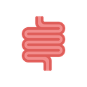 Intestine, Anatomy, Internal, Organ, Health, Medical, Care Icon