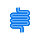 Intestine, Anatomy, Internal, Organ, Health, Medical, Care Icon