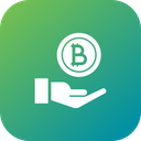 Donation Investment Bitcoin Icon