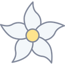 Jasmine National Flower Flower Icon
