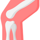 Joint Care Icon