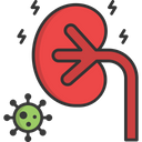 A Kidney Failure Kidney Failure Infected Kidney Icon