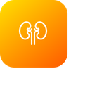 Kidney Organ Health Icon