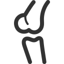 Knee Anatomy Body Icon