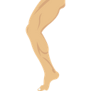Anatomy Body Foot Icon