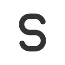 Letter S Icon