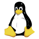 Linux Tux Logo Icon