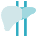 Biology Liver Organ Icon