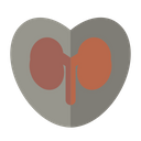 Love Kidney Medicine Medical Icon