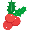 Mistletoe Christmas Mistletoe Plant Icon