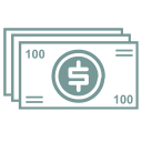 Money Dollar Pay Icon