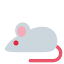 Mouse Rat Test Icon