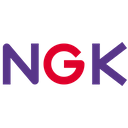 Ngk Icon