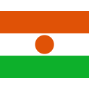 Niger Flag Country Icon