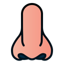 Nose Human Organ Icon