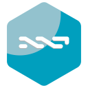 Nxt Coin Cryptocurrency Icon