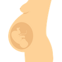 Obstetrics Baby Medical Icon