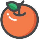 Orange Fruit Vitamin Icon