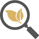 Organic Search Icon