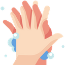Palm to palm Icon