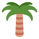Palm Icon