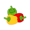 Paprika Cookung Spice Icon